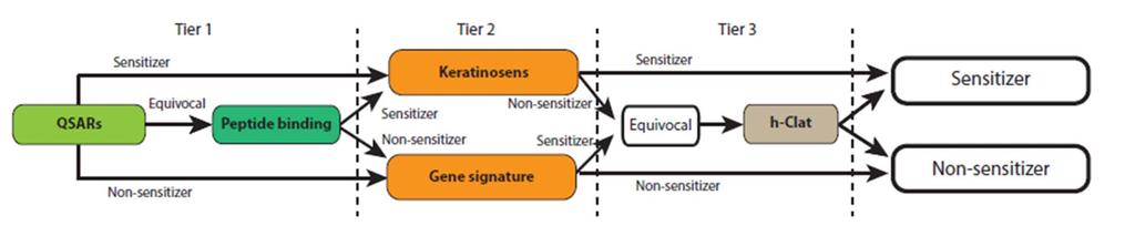 Tier 3: Dendritic cell assay Consistent call in tier 2 decision: sensitizer / non-sensitizer Equivocal