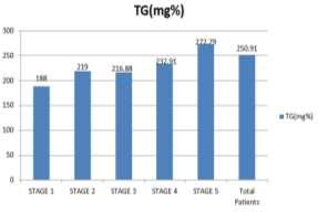 The mean value of triglycerides in total patients was 250.91 ± 56.15 mg%. In CKD stage 1, 2, 3, 4 and 5, the mean values of TG were 188.00 ± 50.68, 219.00 ± 37.66, 216.88 ± 31.94, 232.91 ± 58.