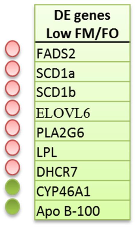 VALUES ELOVL6 47 (16-121) SCD1a 11 (8-43) SCD1b 81 (41-193) PLA2G6 2.8 (1.8-3.
