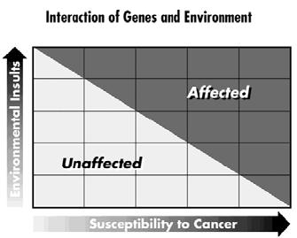 Although the cell growth is moderately increased, the cells do not invade nearby tissue or spread to other parts of the body Malignant tissue is cancer. The cancer cells divide out of control.