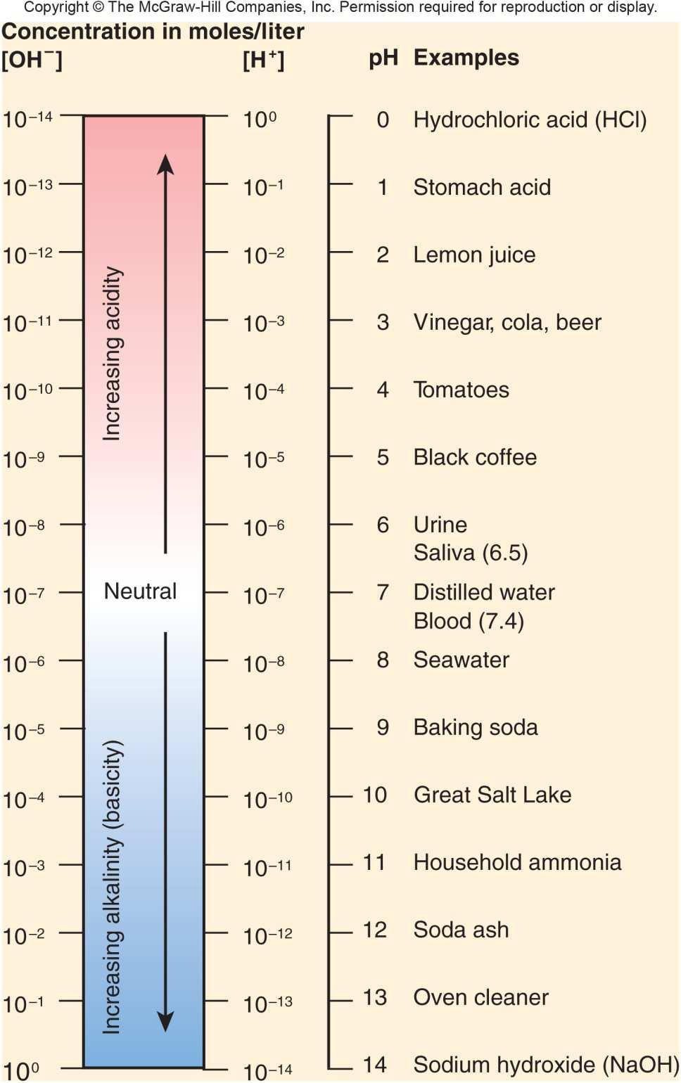 ph Scale ph: potential of Hydrogen -logarithmic expression of amount of H + in solutions: -log10 [H + ] Log scale = 10 fold change ph calculated as log10 [H + ] in moles/liter (scale 0-14) 13 The ph