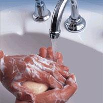 Hand washing is the single most important