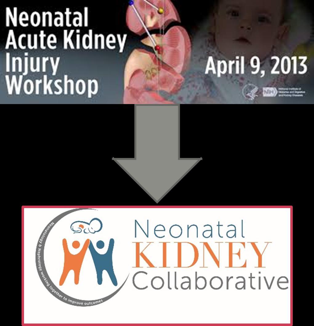 Unique Challenges with Neonatal Kidney Failure Recognizing