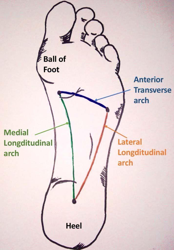 Heather Feather s 3 Keys To Kick Plantar Fasciitis The Curb Blueprint Method 2: Strengthening - There are three arches in the foot the longitudinal lateral arch (which goes the length of the foot