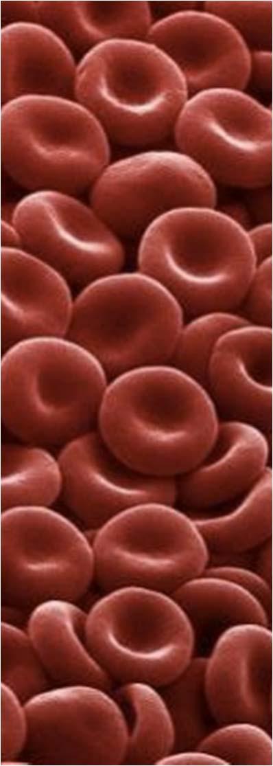 Anemia in Healthy Awake Volunteers Critical hemoglobin threshold unknown in humans At 6 g/dl Decline in cognitive