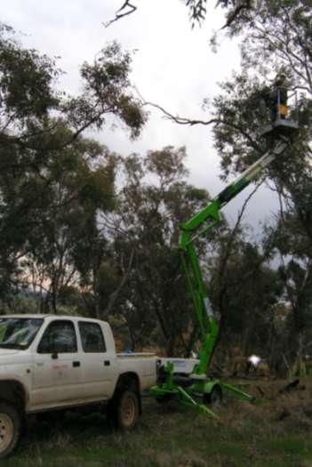 Mistletoe removal All mistletoe plants removed from 20 treatment remnants > 5,400 plants; 40 tonnes Trailer mounted