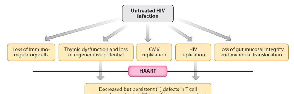 Effect of HIV infection and