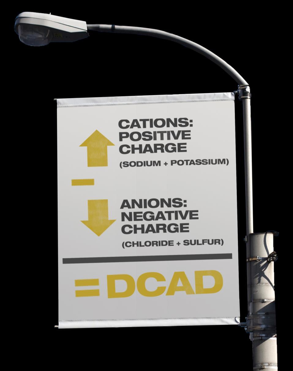 DCAD PLUS DRIVES POSITIVE DCAD Corrects K imbalances and