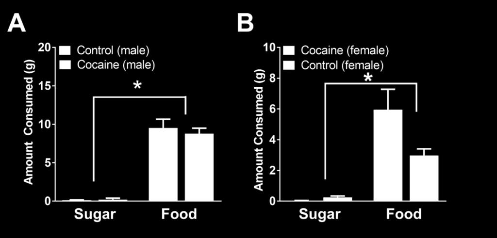 successful devaluation of the sugar. This remains true for both sexes (males left, females right).