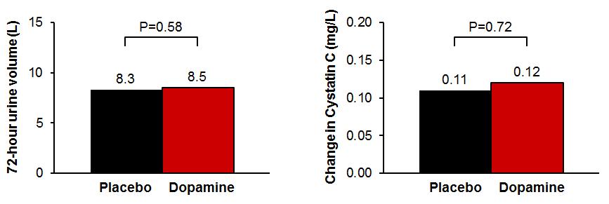 Low Dose Dopamine: Co-primary End-points