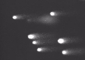 () pictures of comets: arrows indicate