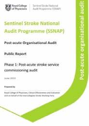 Figure shows the reports available for the post acute organisational audit : phase 1.