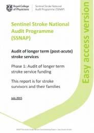 results portfolio Summary spreadsheet Figure : Phase 1 reports The data from Phase 1 was used as a platform for identifying the breadth of services open to stroke