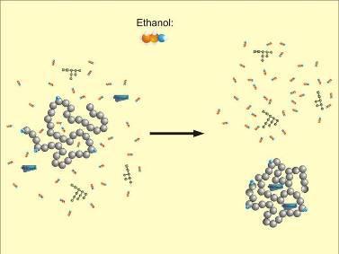 Removal of the deglycosylated proteins Standard method: ice-cold ethanol