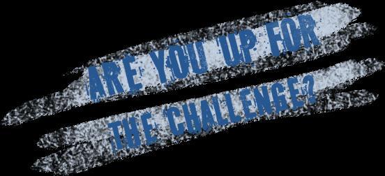 Challenge Drive Describes to what extent you see challenges, change, adversity &