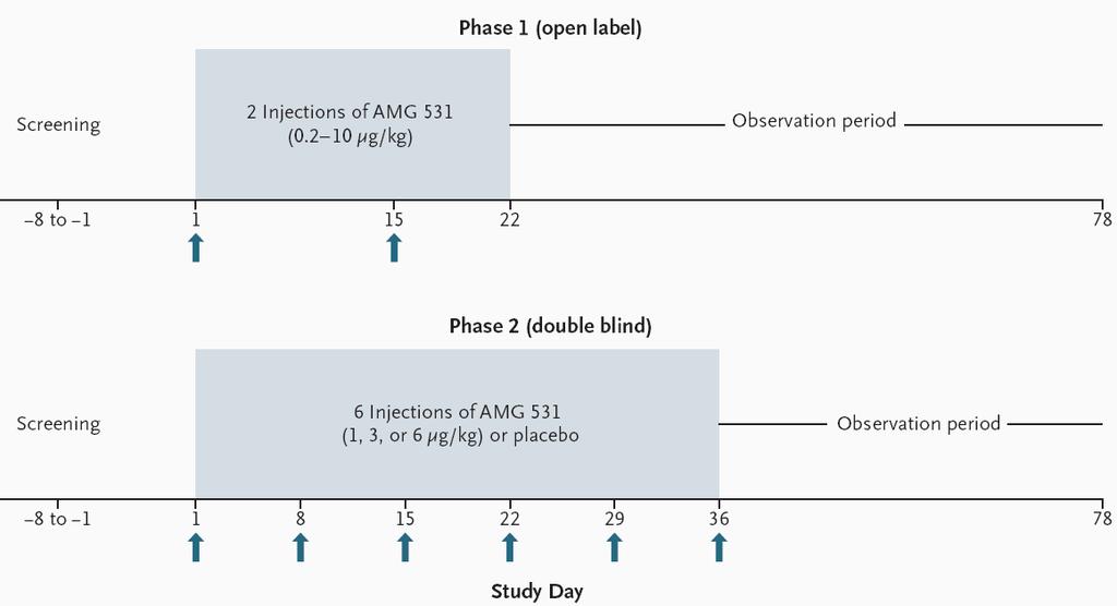 Romiplostim (AMG 531) in chronic ITP Phase I-II
