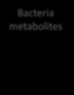 Bifidobacteria and Lactobacilli Swanson et al., 2002 Howard et al.