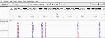 sequencing (melanoma, thyroid, colon, lung, HCL) BRAF Fusion (Pilocytic astrocytoma) CALR Mutation Analysis (MPN) CEBPA Mutation Analysis (AML) EGFR sequencing (Lung) FGFR3 Mutation Detection