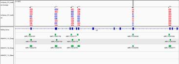 AML) KRAS Mutation Analysis (colon, thyroid, lung) MET ex14 Skipping Mutation Microsatellite Instability testing (CRC) MPL W515/S505 (MPN) MYD88 Mutation Detection (WM/LPL) NPM1 Mutation Detection