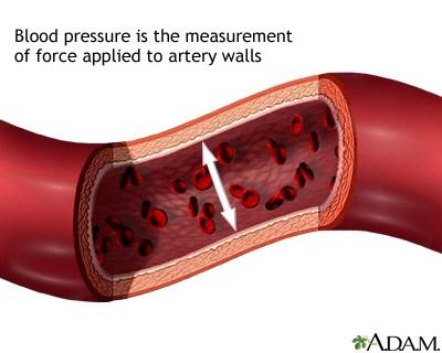 The systolic (top) pressure is the measurement of the pressure inside the arteries when the heart is beating or pumping blood, and the diastolic (bottom) pressure is the measurement of the pressure