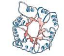 Regions of scondary structures in folded ppolypeptide chain Beta-turn Beta-pleated Protein can contain