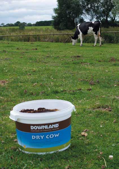 Dry Cow Pre-calving preparation for dairy and suckler cows Feed from 6 weeks pre-calving Specialist specification designed to help reduce calving problems and assist breed back Will help where there