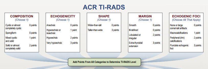 From ACR Thyroid Imaging, reporting and data system (TI-RADS): White