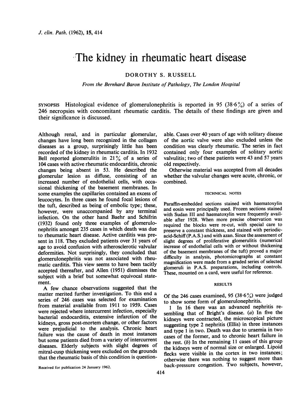 J. clin. Path. (1962), 15, 414 The kidney in rheumatic heart disease DOROTHY S.