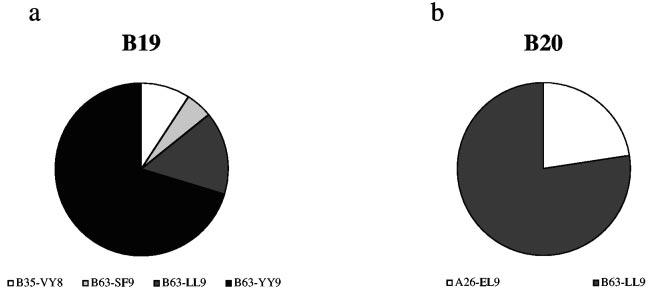 VOL. 79, 2005 HLA-B63 IS ASSOCIATED WITH LOW HIV VIRAL SET POINT 10223 FIG. 3. Magnitude of responses during acute infection.