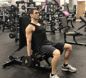 ARMS Incline Dumbbell Curls 1. Sit back on a bench set at an incline between 45-60 degrees. 2.