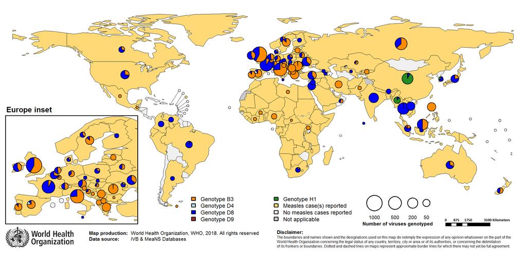 Distribution of measles genotypes (last 12 months) Notes: Data Source: MeaNS database (Genotypes) and IVB Database