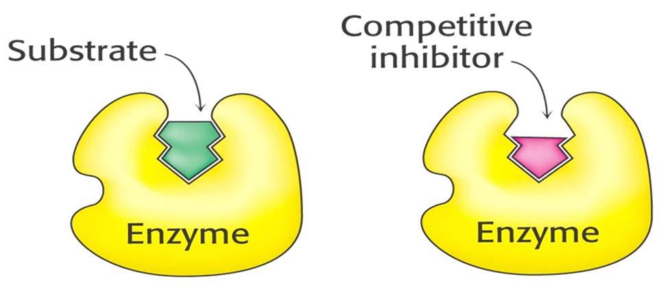 Enzyme inhibition A.