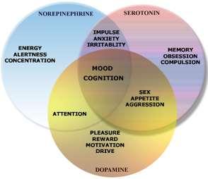 Regulatory Neurotransmitter Examples: Serotonin affects moods (relaxation), anger, impulsivity and aggressiveness. Norepinephrine (NE) affects attention, motivation and arousal.