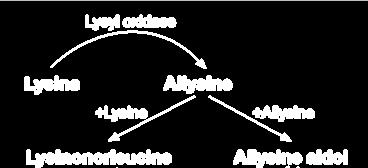 Cross-linking of elastin occurs through the enzyme lysyloxidase producing the