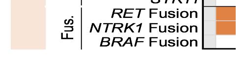 (tissue) (pt 1) PCBP2-BRAF fusion
