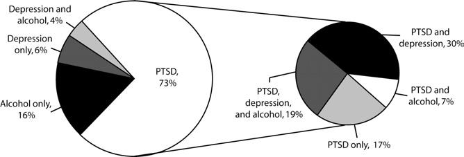 Note. PTSD = posttraumatic stress disorder.