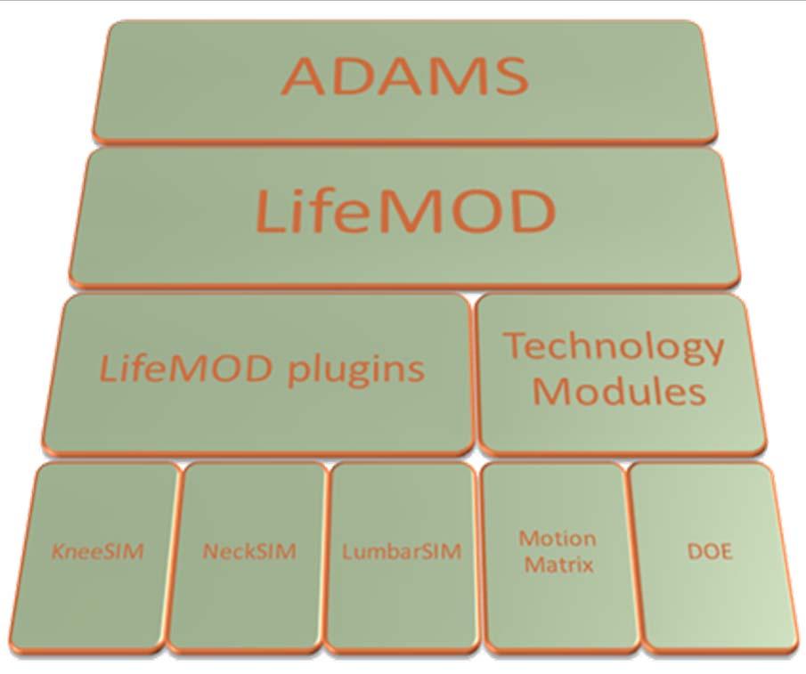 LifeMOD A plug in of ADAMS plug in module to the ADAMS physics engine.