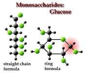 Carbohydrates 3 Types 1. Monosaccharide (one sugar) 2. Disaccharide (two sugars) 3.