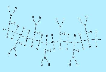 Macromolecules n Polymer: a molecule made of repeating units