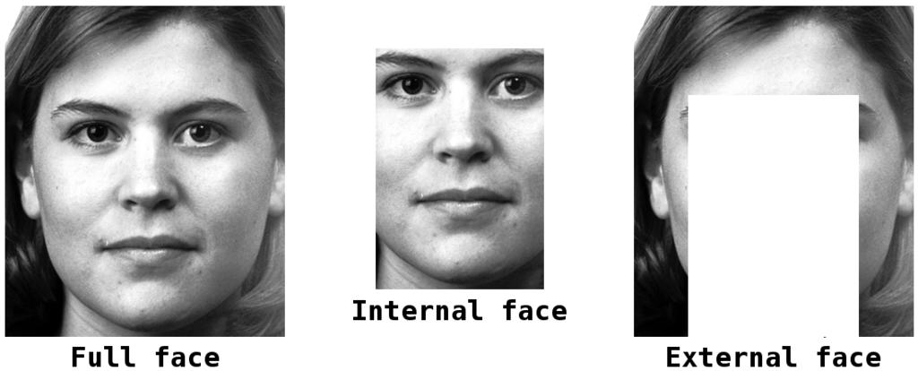face parts: Global face parts: Y. An