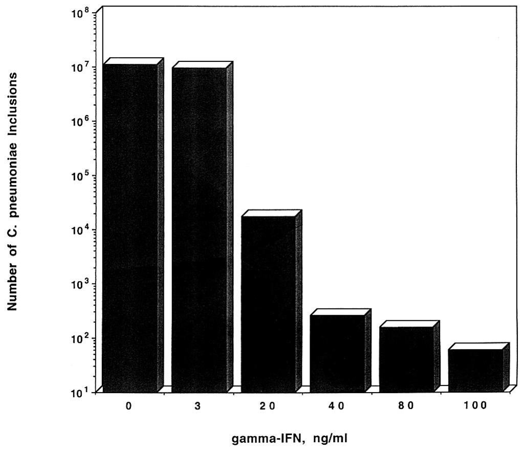 VOL. 71, 2003 EXPRESSION OF C. PNEUMONIAE TYPE III SECRETION GENES 2559 FIG. 3. Monolayers of HEp-2 cells were infected with C.