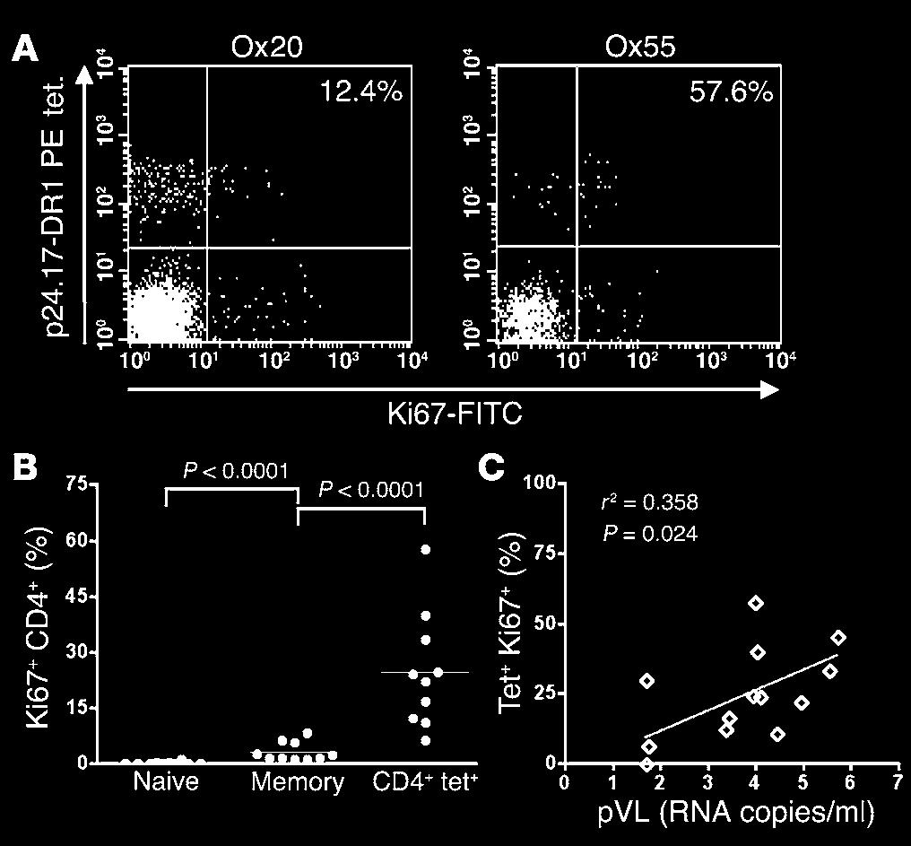 Figure 4 Phenotypic analysis of HIV-specific memory CD4 + T cells using HLA class II tetramers.