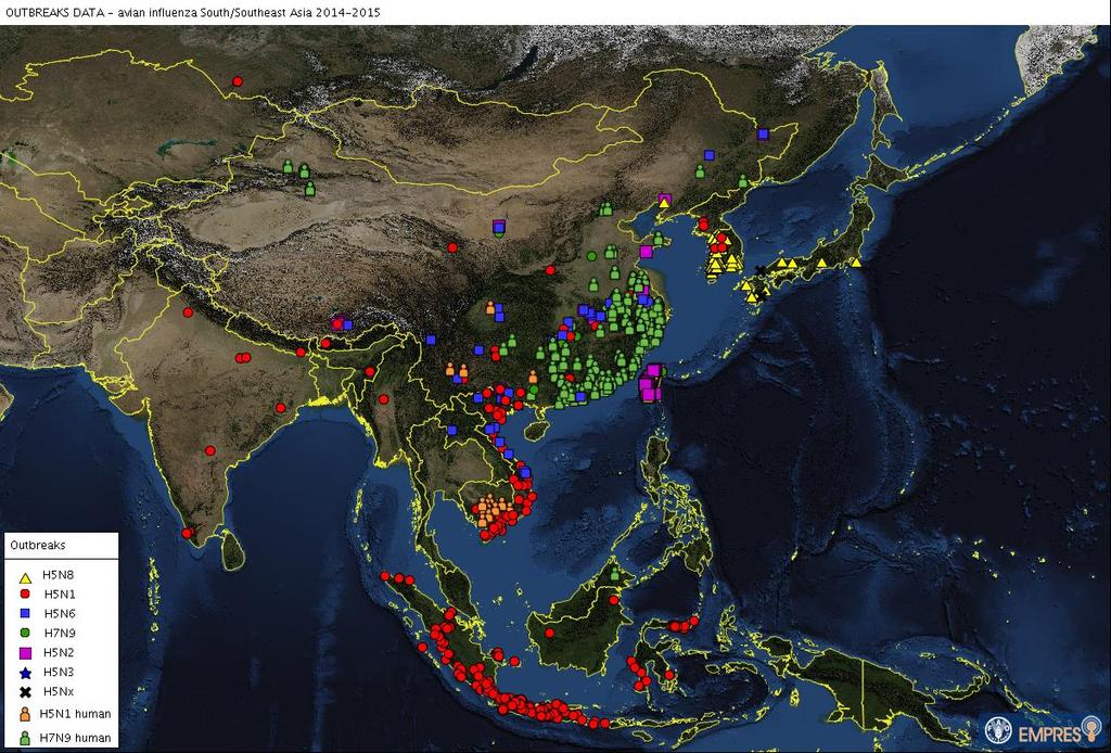 Avian Influenza in Asia during 2014-2015 2.3.4.4 2.3.4.4 2.3.2.1.A 2.3.4.4 2.3.4.2 2.