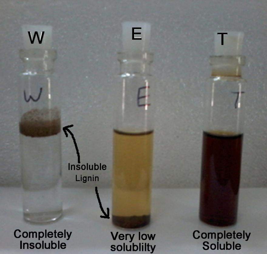 Figure S1 Solubility of 20 mg lignin in 5 ml of each solvent (used for products separation in scheme 1-main paper).