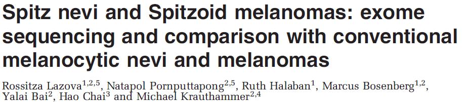 Spitzoid melanomas share molecular-genetic