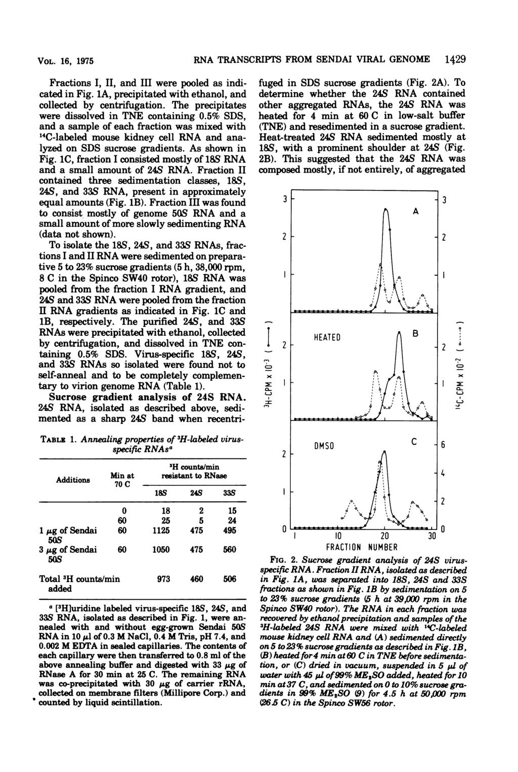 VOL. 16, 1975 Fractions I, II, and III were pooled as indicated in Fig. 1A, precipitated with ethanol, and collected by centrifugation. The precipitates were dissolved in TNE containing 0.