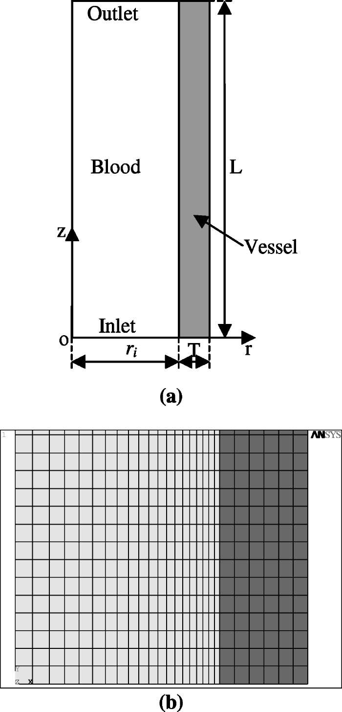 Fig. 1 a Schematic of the axisymmetric model not to scale. b Finite element mesh near the inlet. 2.2 Incompressible Fluid Model.