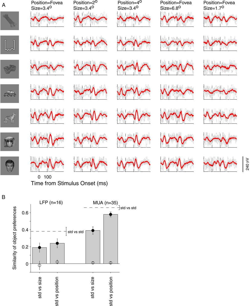 Selectivity of LFPs in Inferior Temporal Cortex 435 Figure 2.