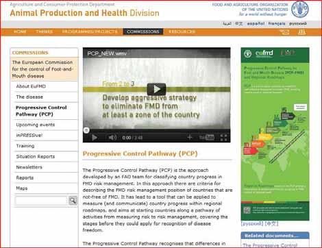 PCP-FMD In use since 2008 Joint FAO-EuFMD-OIE Tool 5 stages Outcome oriented, evidence based