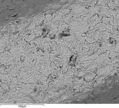 0812-1a-gamma 0812-3a-beta sample identification: SEM microphotograph, magnification X500: EDS (*): Conclusion: SEM microphotographs show absolutely clean porous surface of the implants,